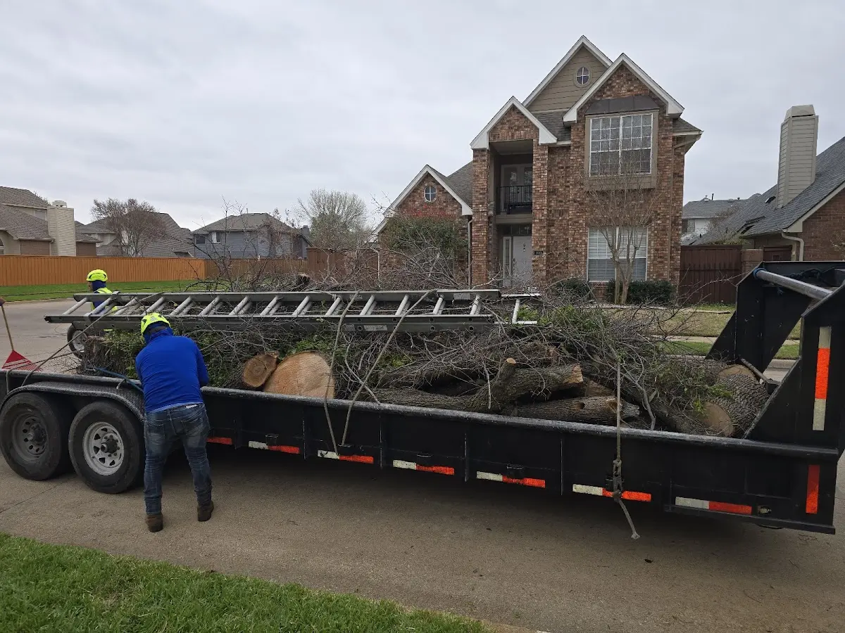 Expert Tree Removal with proper safety equipment in Mechanicsville